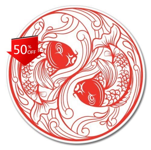 Laptop Unique Accessories - Koi Fish Yin Yang Unique Camper